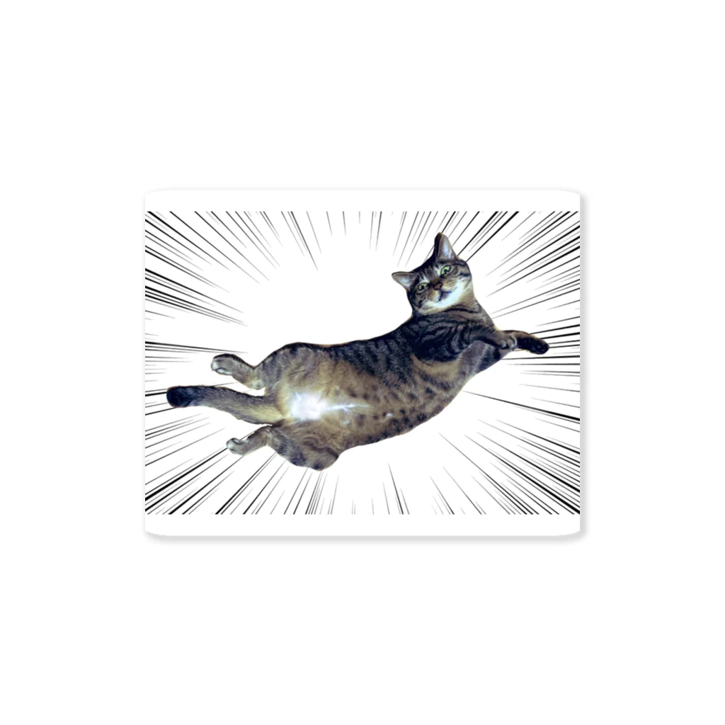 meow.の猫のちぃちゃん。(圧が凄いver.) Sticker