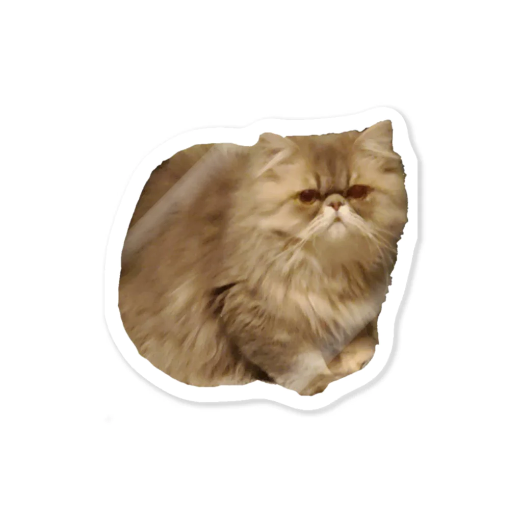 ねこのぺちゃまるのねこのぺちゃまる Sticker