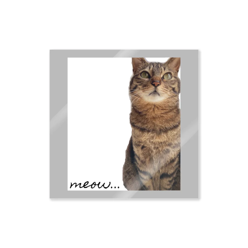 meow.の猫のちぃちゃん。(おすましver.2) Sticker