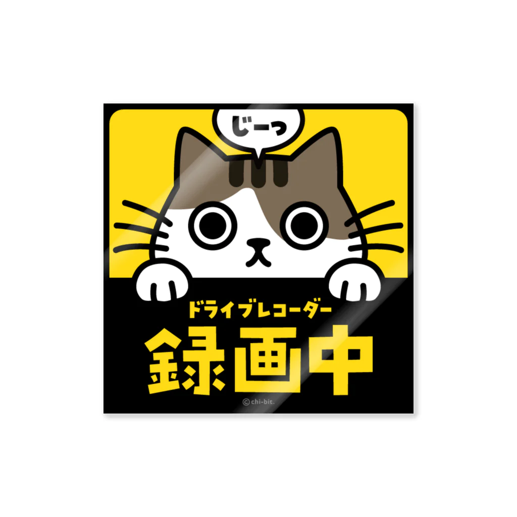 chi-bitのじーっとみる猫・ドライブレコーダー録画中！（キジシロ） 스티커