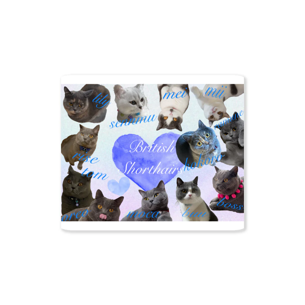 こころのお店のBritish Shorthairs Sticker