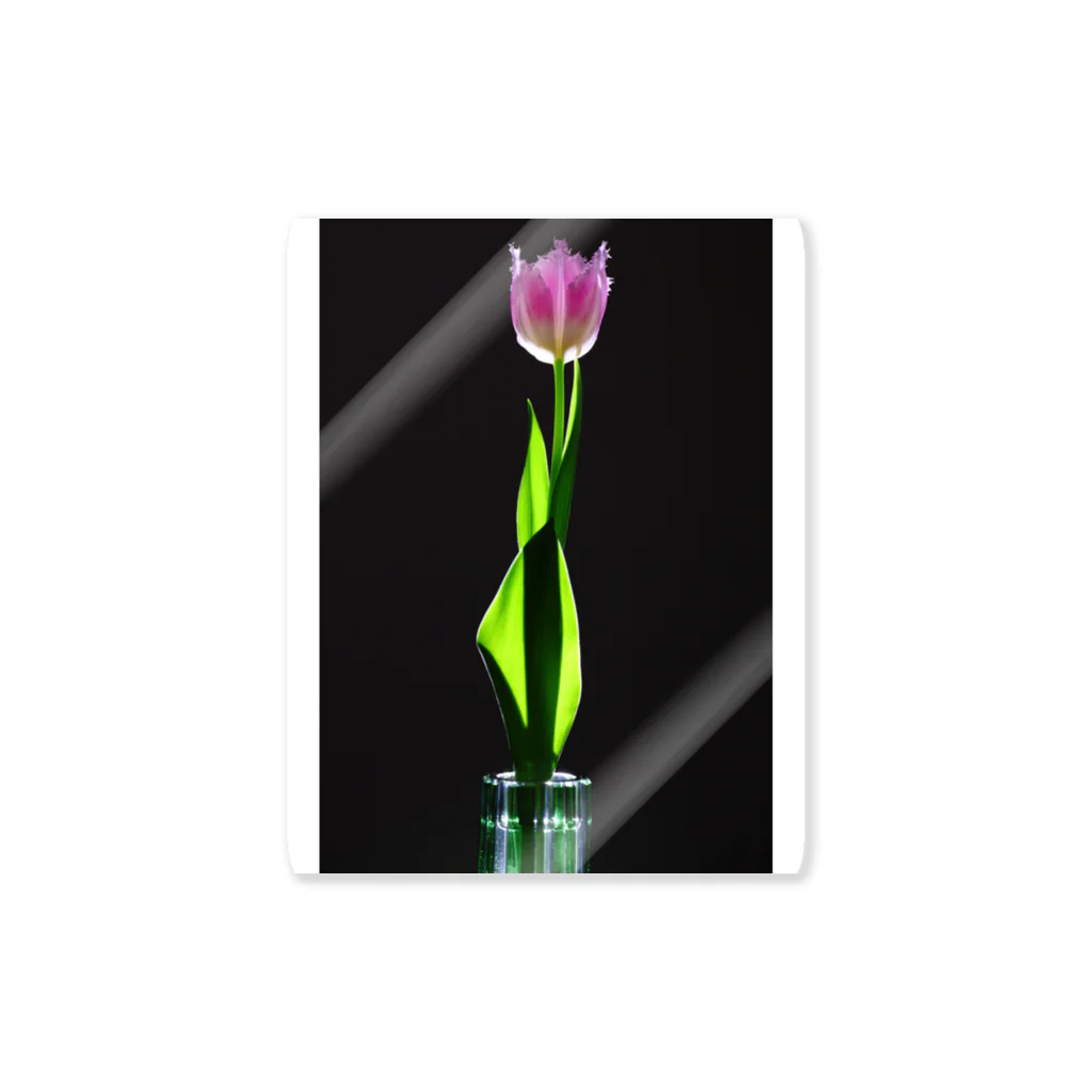 CNU Official ShopのTulip Design Sticker Sticker