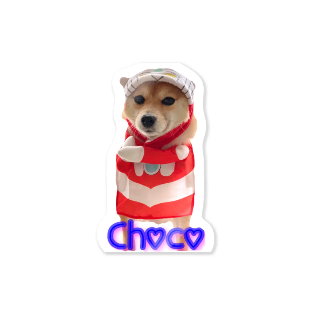 chippの豆柴ちょこちゃん Sticker