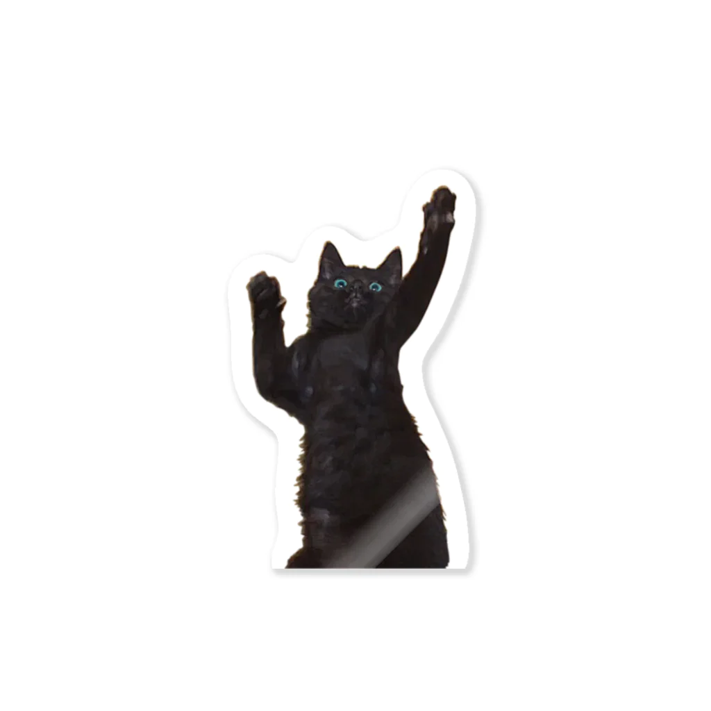 猫とやっし～ぃのアレコレのリアル黒猫ぽっち～ぃ ステッカー