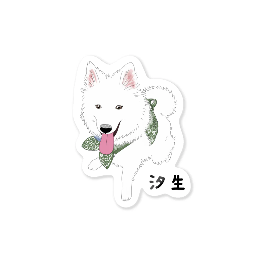 日本スピッツ　蛍の【オーダー】汐生カラー Sticker