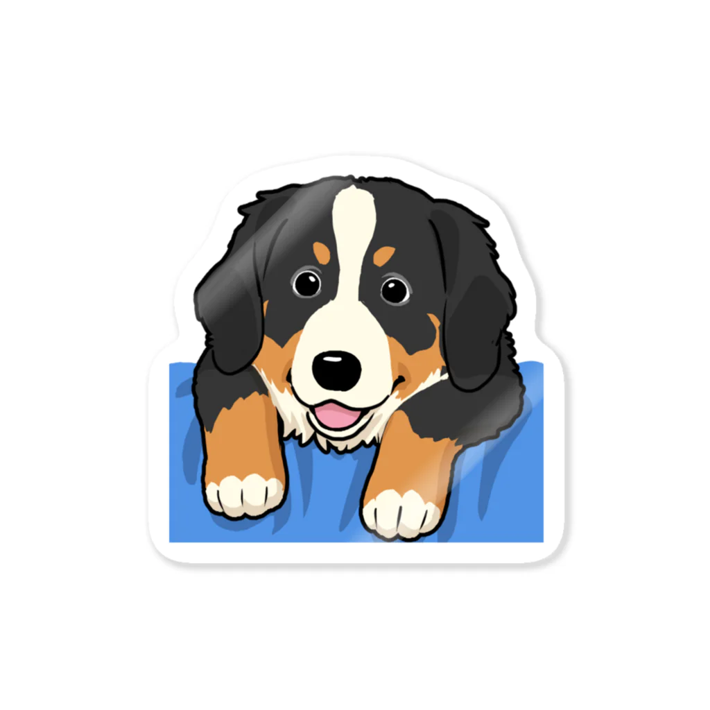 おてくるのバーニーズマウンテンドッグ/Bernese Mountain Dog 38/40 Sticker