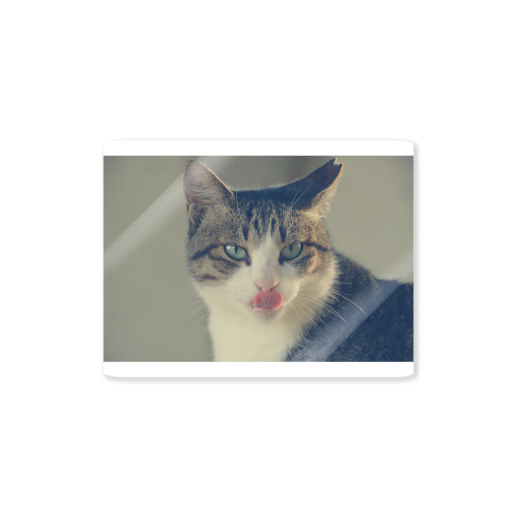 ダッさん𓆈の猫様① Sticker