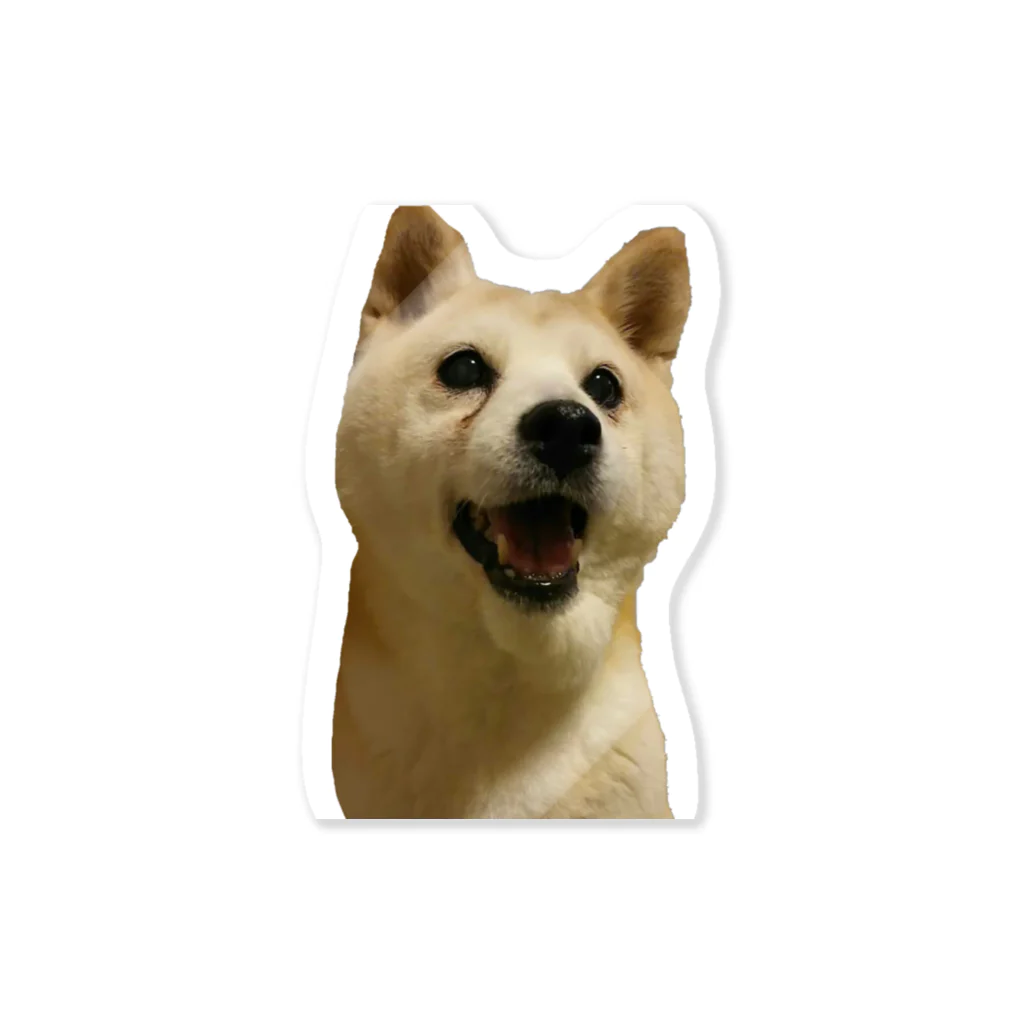 shibainuひめこのshibainuひめこ Sticker