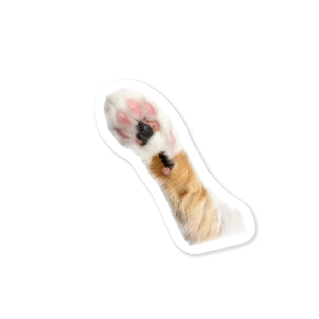 ブルースカイの猫パンチ Sticker