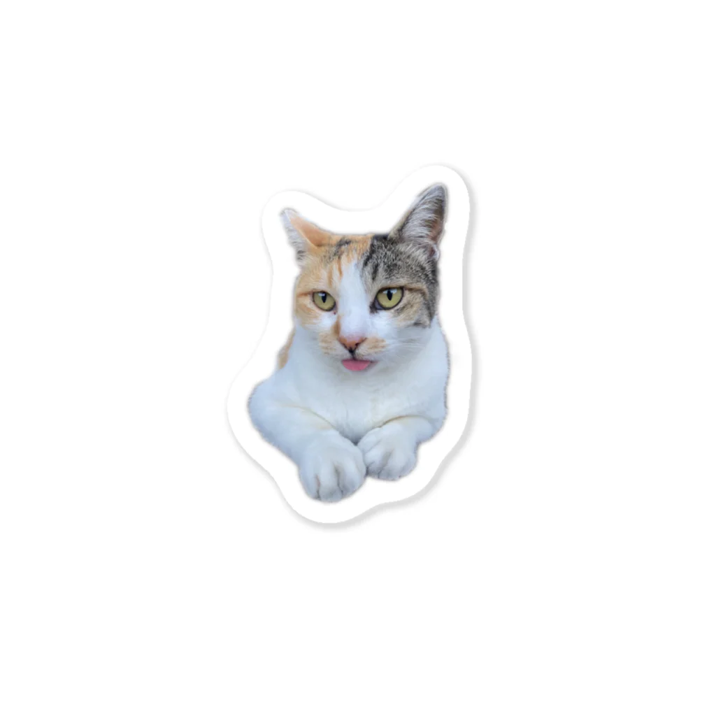 三毛猫のハシモトの舌がでているよ Sticker