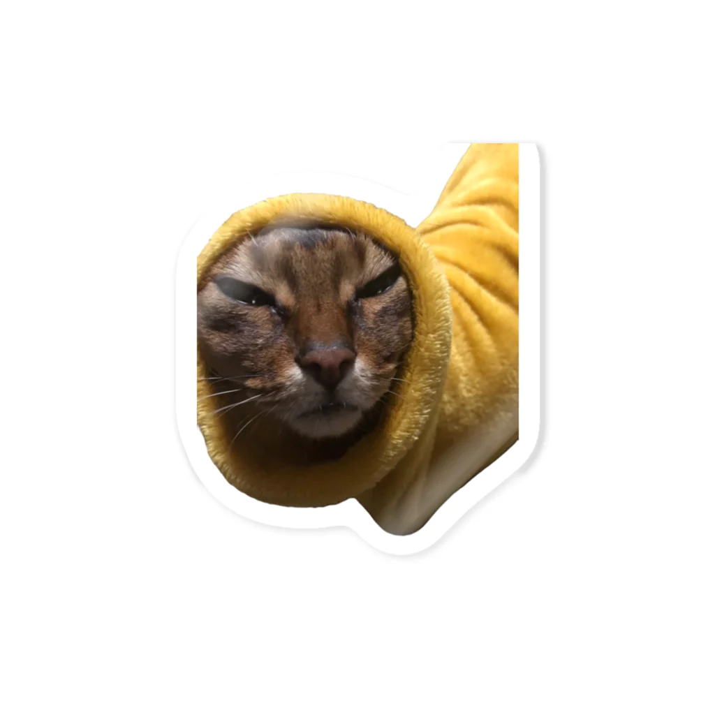 Lizqのworm cat Sticker