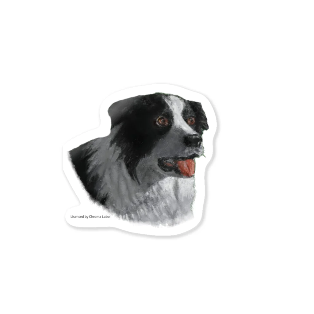 Chroma LaboのSmart Collie Dog Sticker