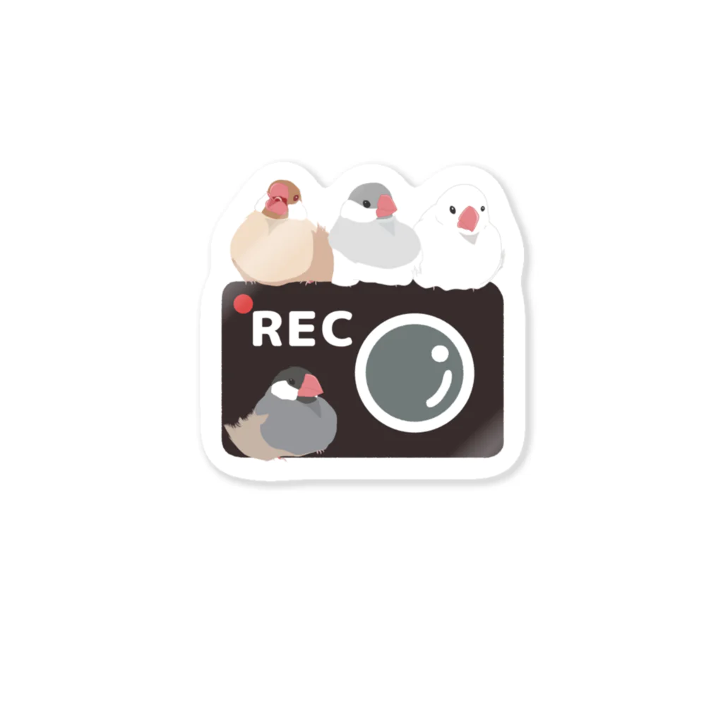 雛乃の文鳥グッズ屋さんの文鳥さん達のドラレコステッカー Sticker