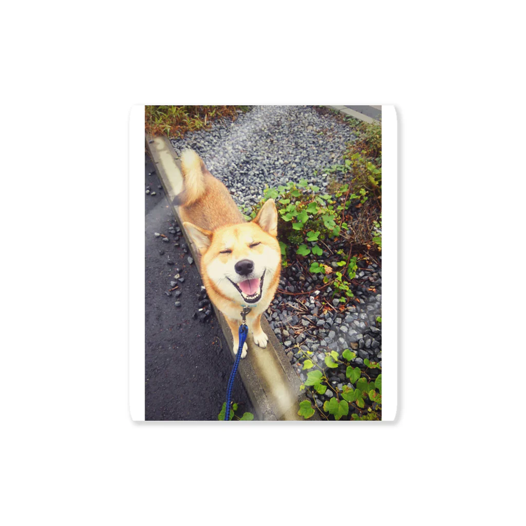 Garnet Windの柴犬ご機嫌 Sticker