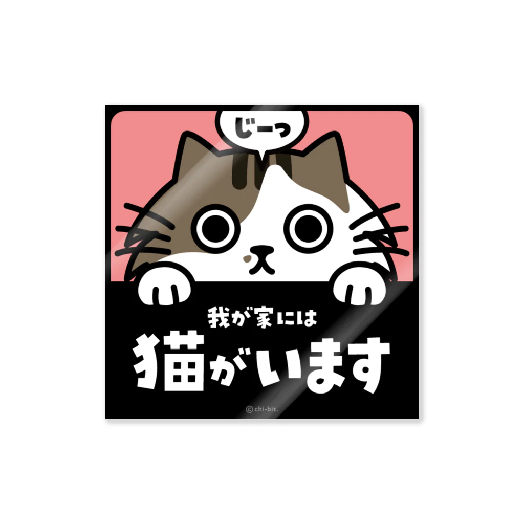 chi-bitのじーっとみる猫・猫がいます（キジシロ&長毛） ステッカー