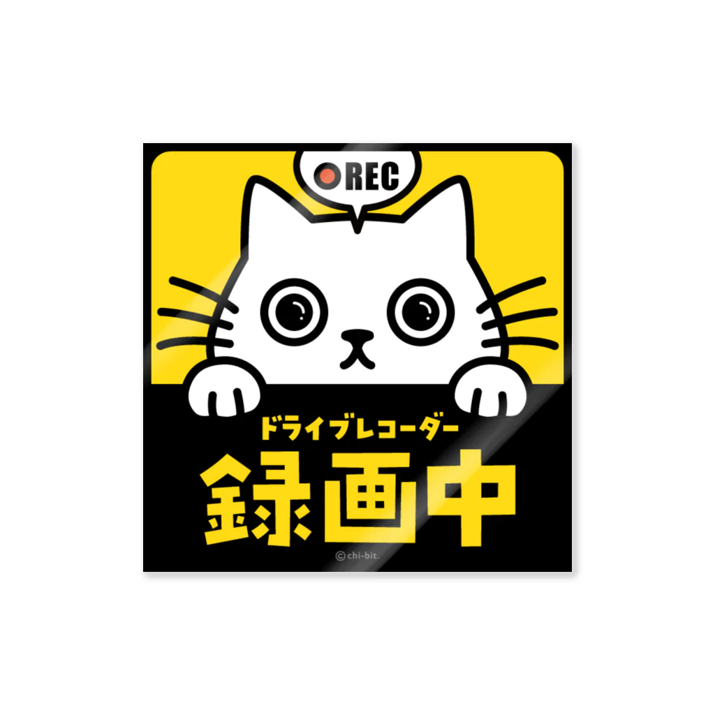 chi-bitのじーっとみる猫 [REC]・ドライブレコーダー録画中！（白猫） ステッカー