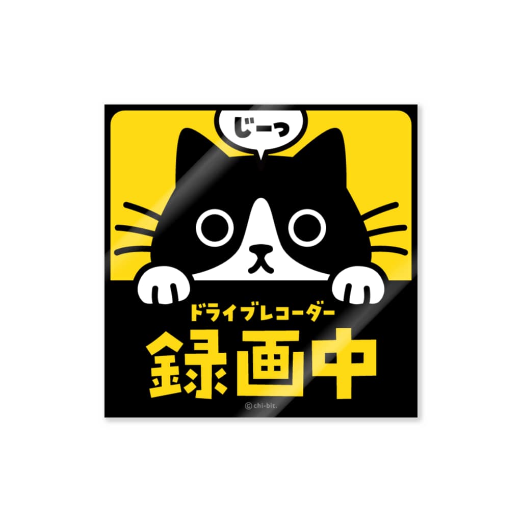 chi-bitのじーっとみる猫・ドライブレコーダー録画中！（ハチワレ） Sticker