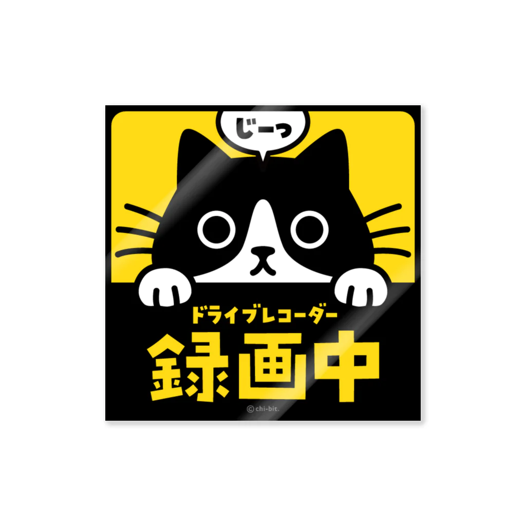 chi-bitのじーっとみる猫・ドライブレコーダー録画中！（ハチワレ） ステッカー