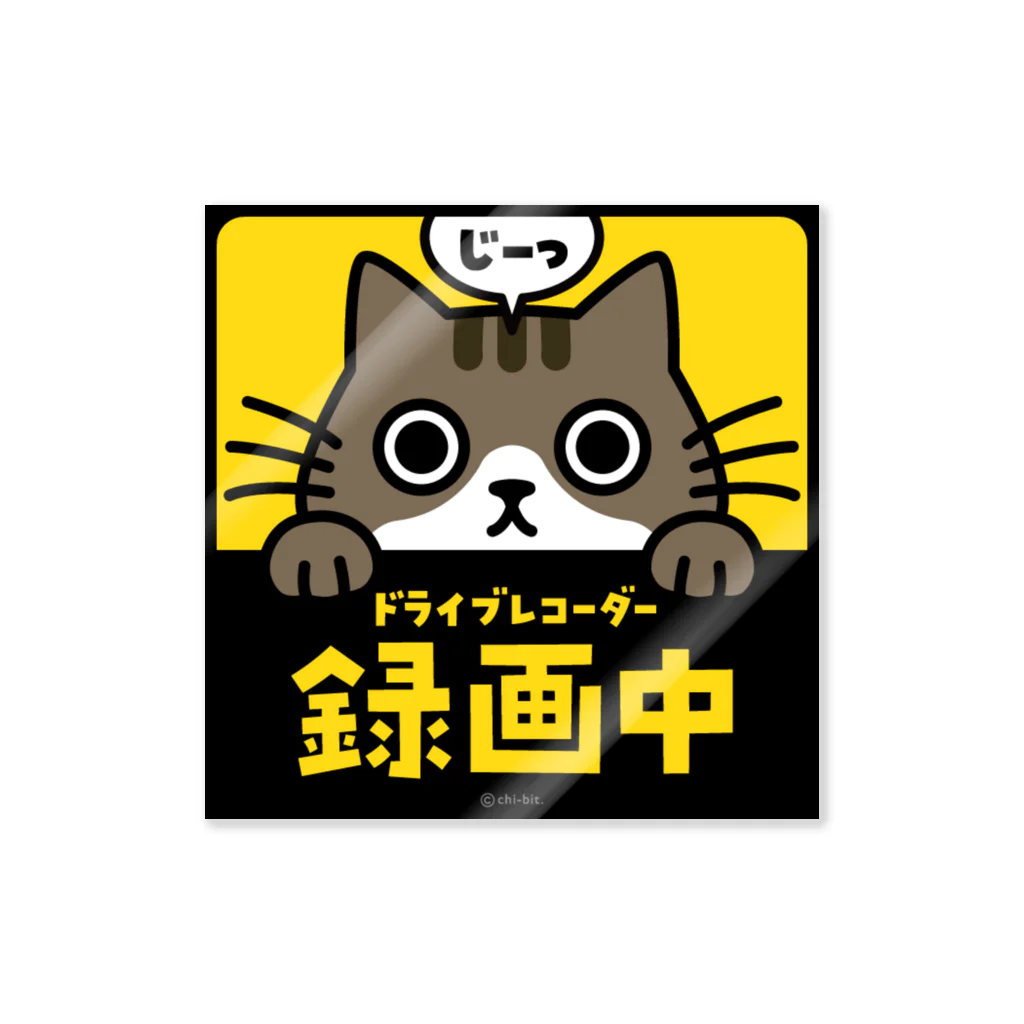 chi-bitのじーっとみる猫・ドライブレコーダー録画中！（キジシロ） ステッカー