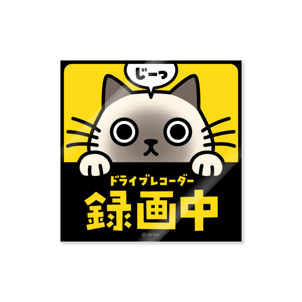 chi-bitのじーっとみる猫・ドライブレコーダー録画中！（ポインテッド） ステッカー