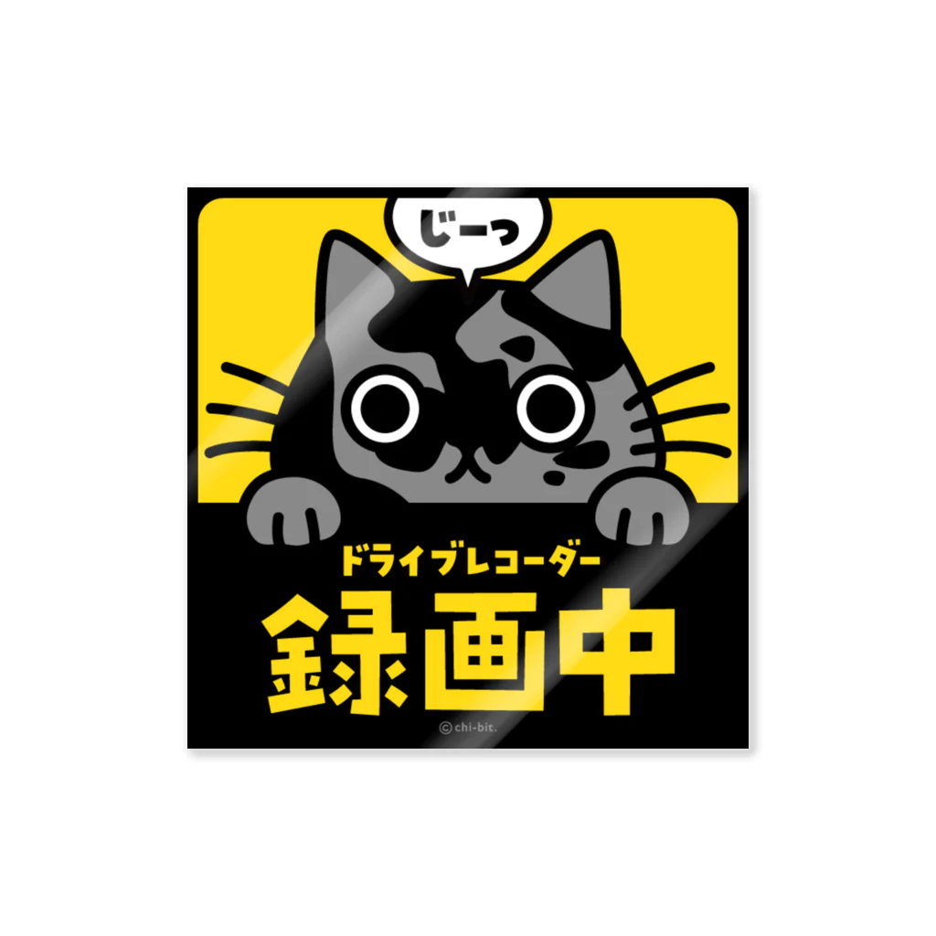 chi-bitのじーっとみる猫・ドライブレコーダー録画中！（グレーサビ） ステッカー