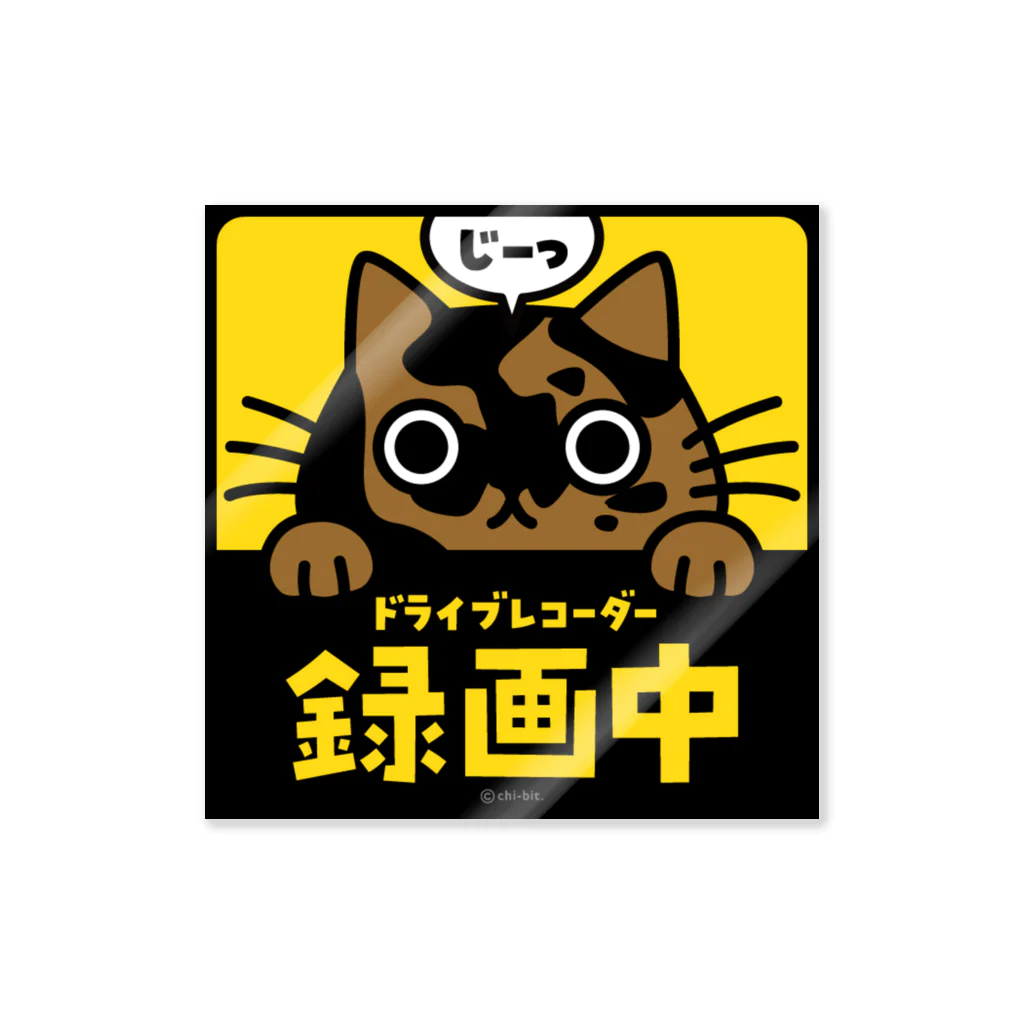 chi-bitのじーっとみる猫・ドライブレコーダー録画中！（サビ） Sticker
