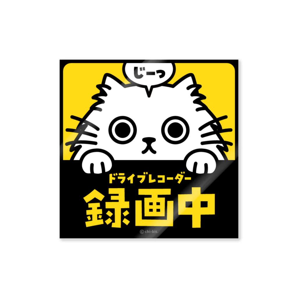 chi-bitのじーっとみる猫・ドライブレコーダー録画中！（白猫・長毛） 스티커