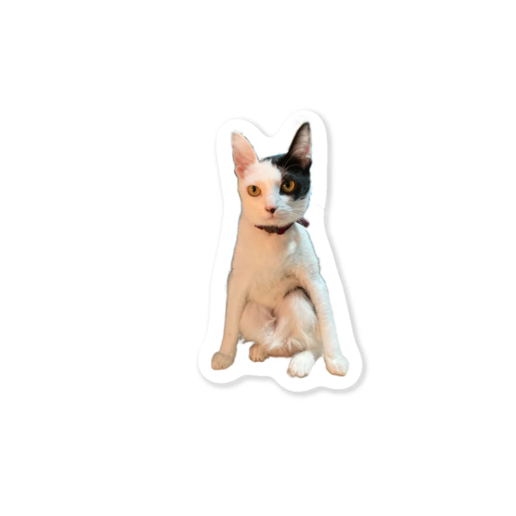 yuuaoiの変な座り方の猫 Sticker