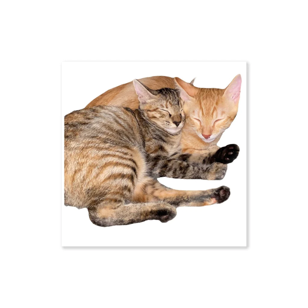 ChoboTora24の眠り猫ちゃん達 Sticker