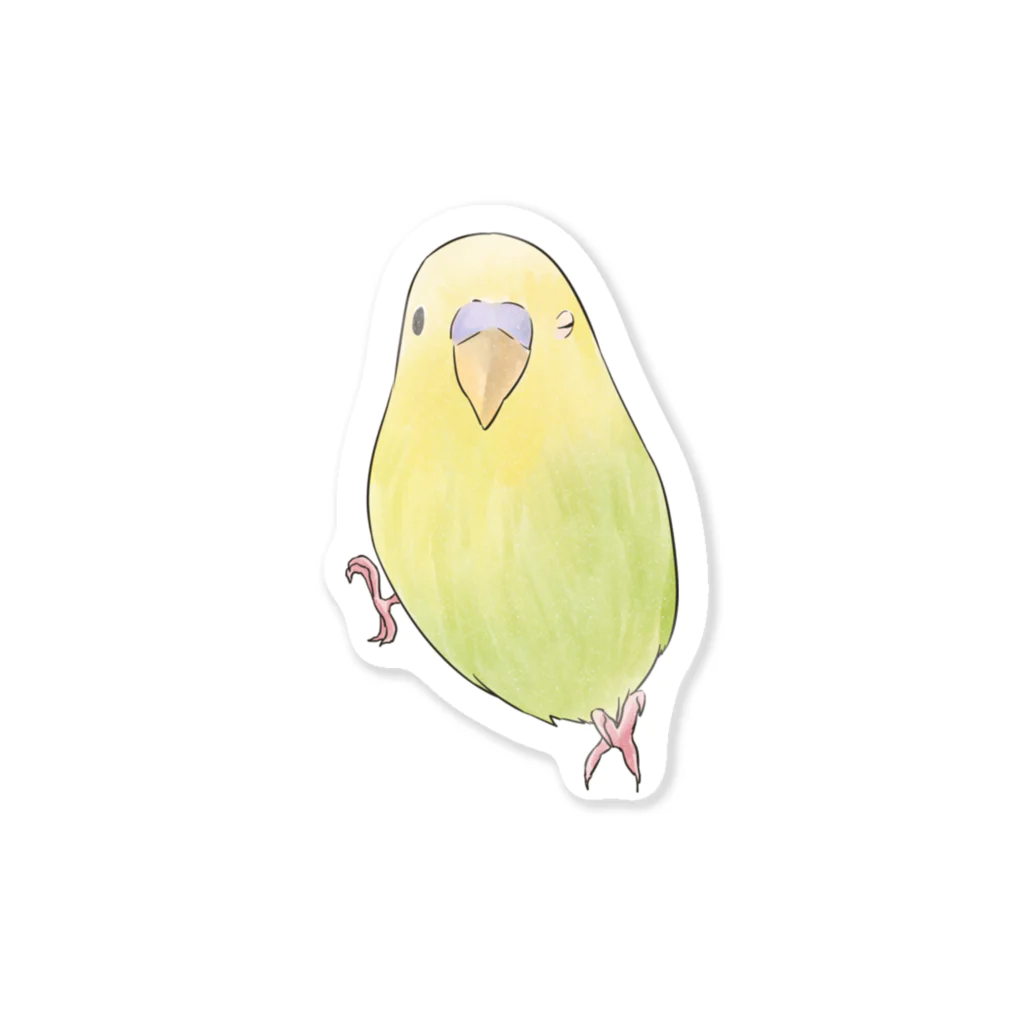 まめるりはことりのウィンクするセキセイインコちゃん【まめるりはことり】 ステッカー