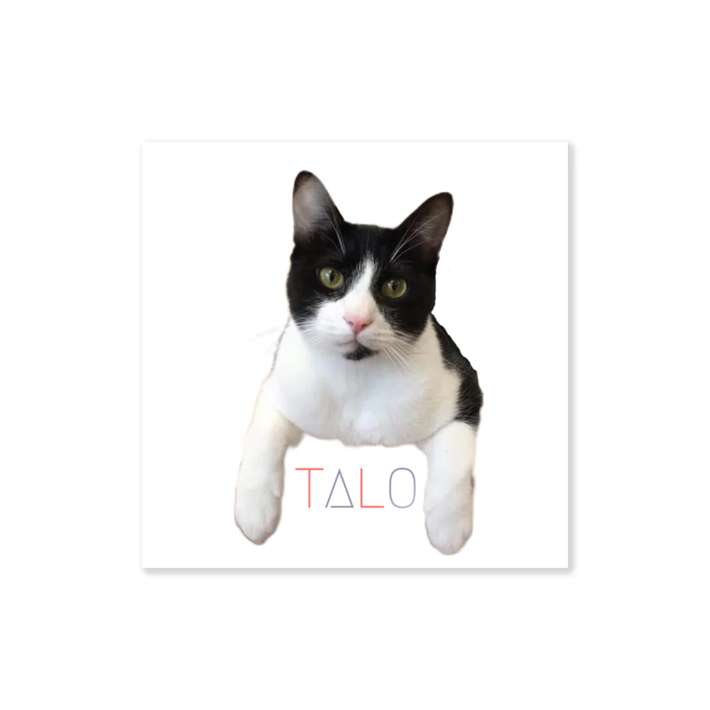 ハチワレ猫のタロのTALO ステッカー