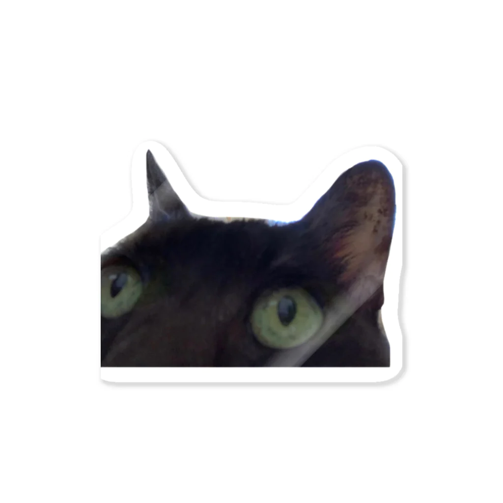 nya nya*のドアップねこ Sticker