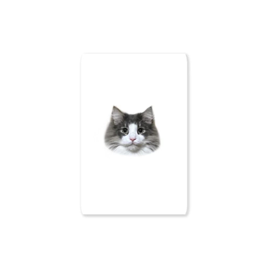 Timmy chan のTimmy the cat Sticker