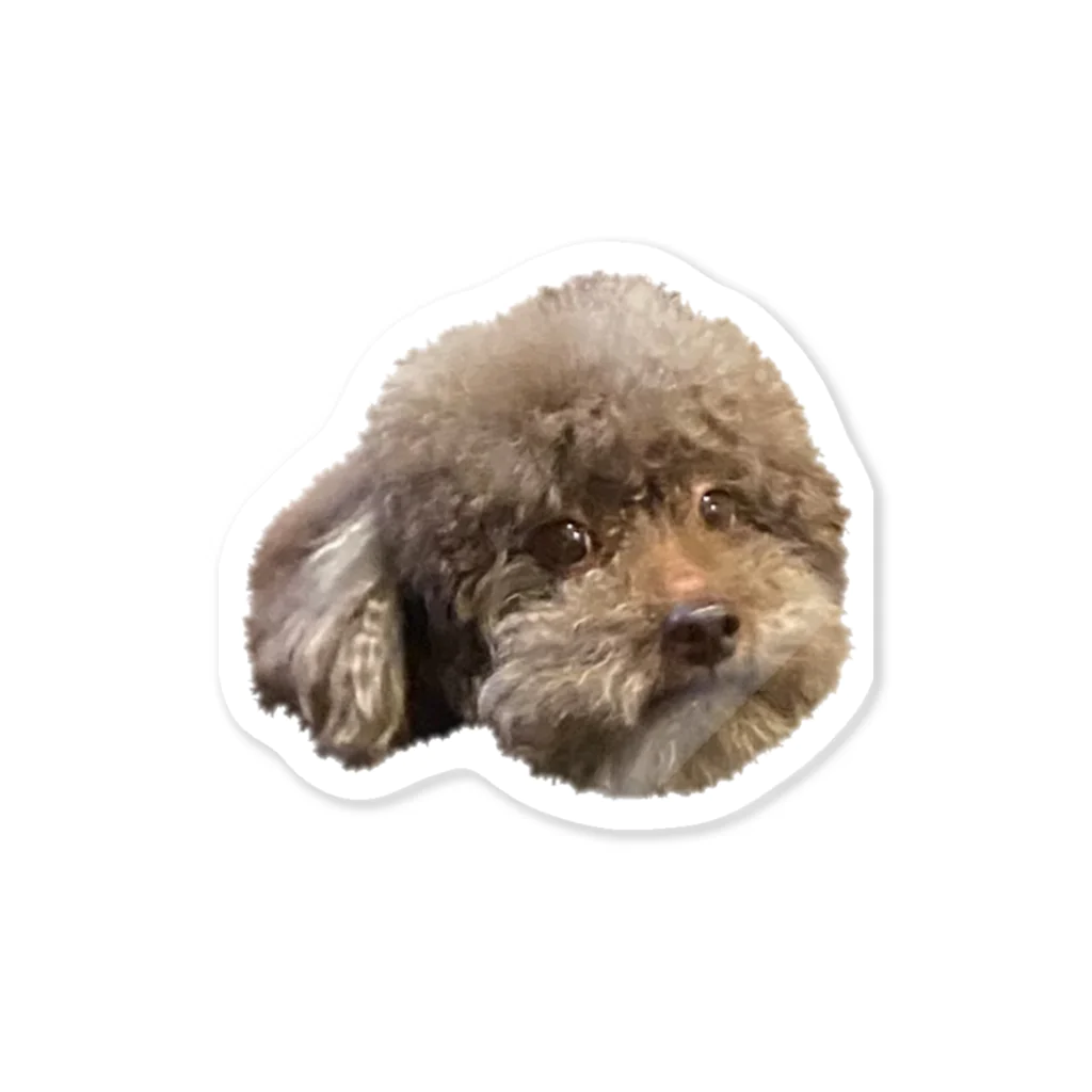 めいこのうちのお犬　かうる Sticker