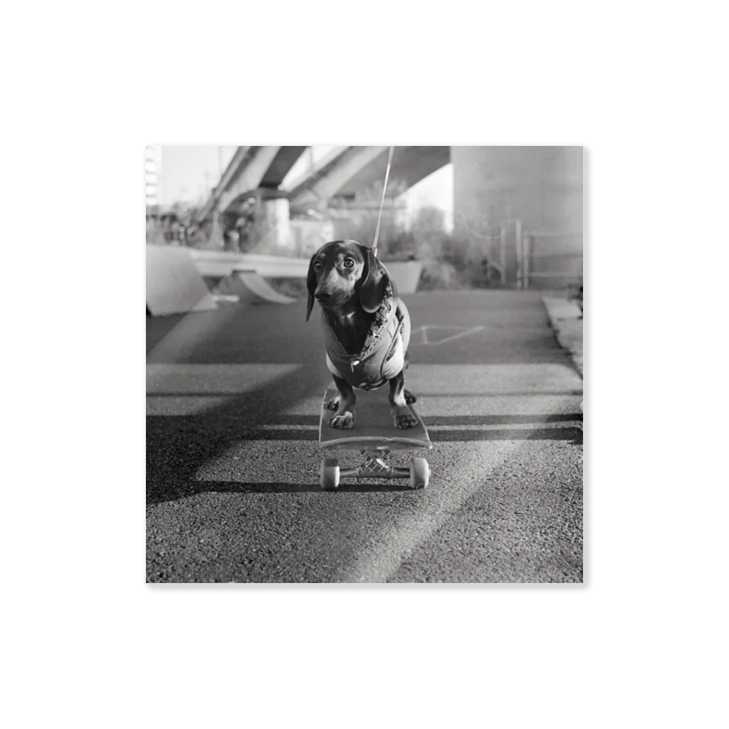 Tokyo StyleのSkating Dog ステッカー