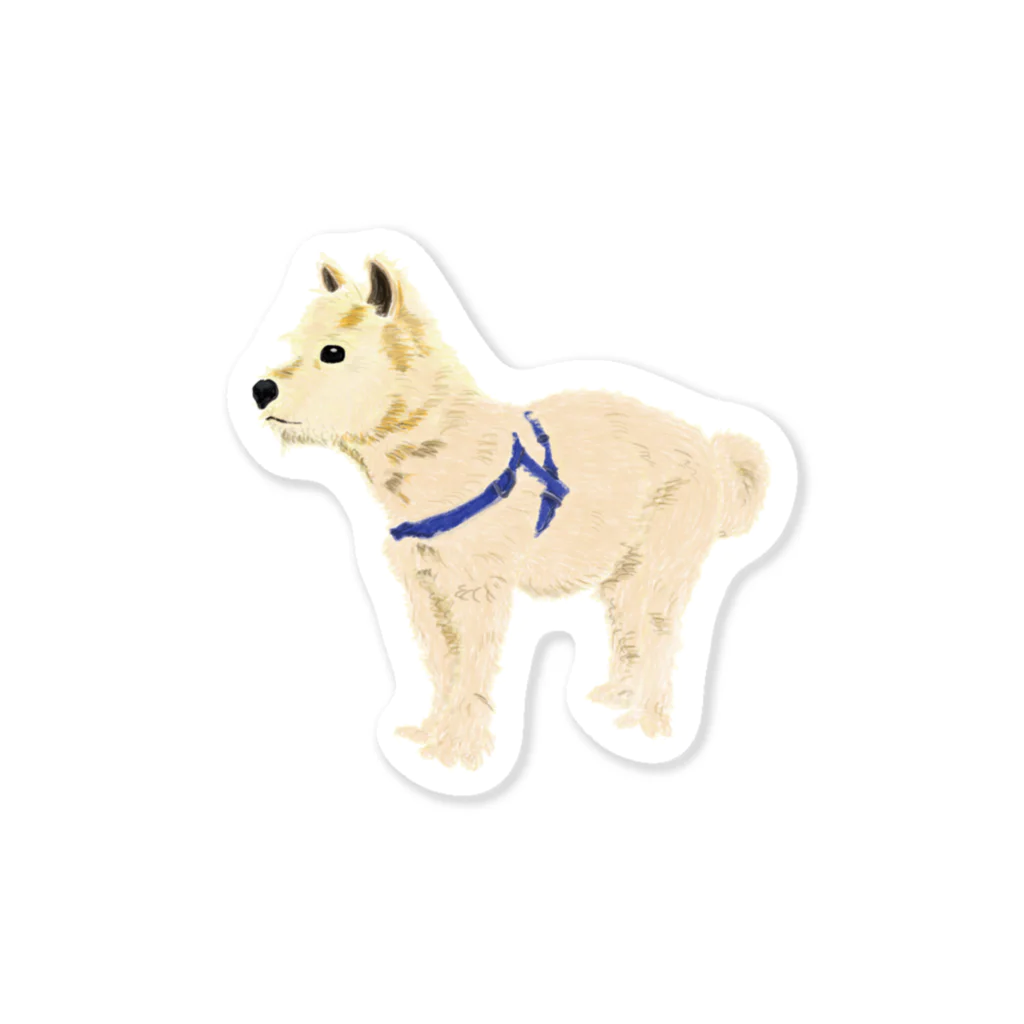 matsunomiの愛犬 Sticker