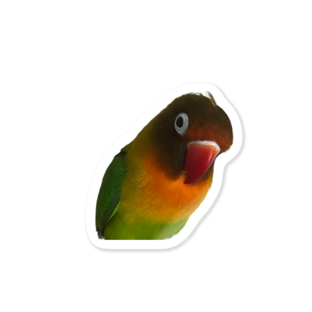 sambarumba-lovebirdのlove bird samba ステッカー