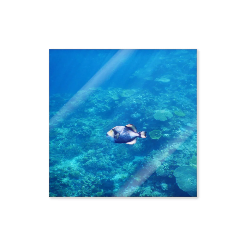海とマッチョとKINTRAYの阿嘉島のゴマモン 스티커