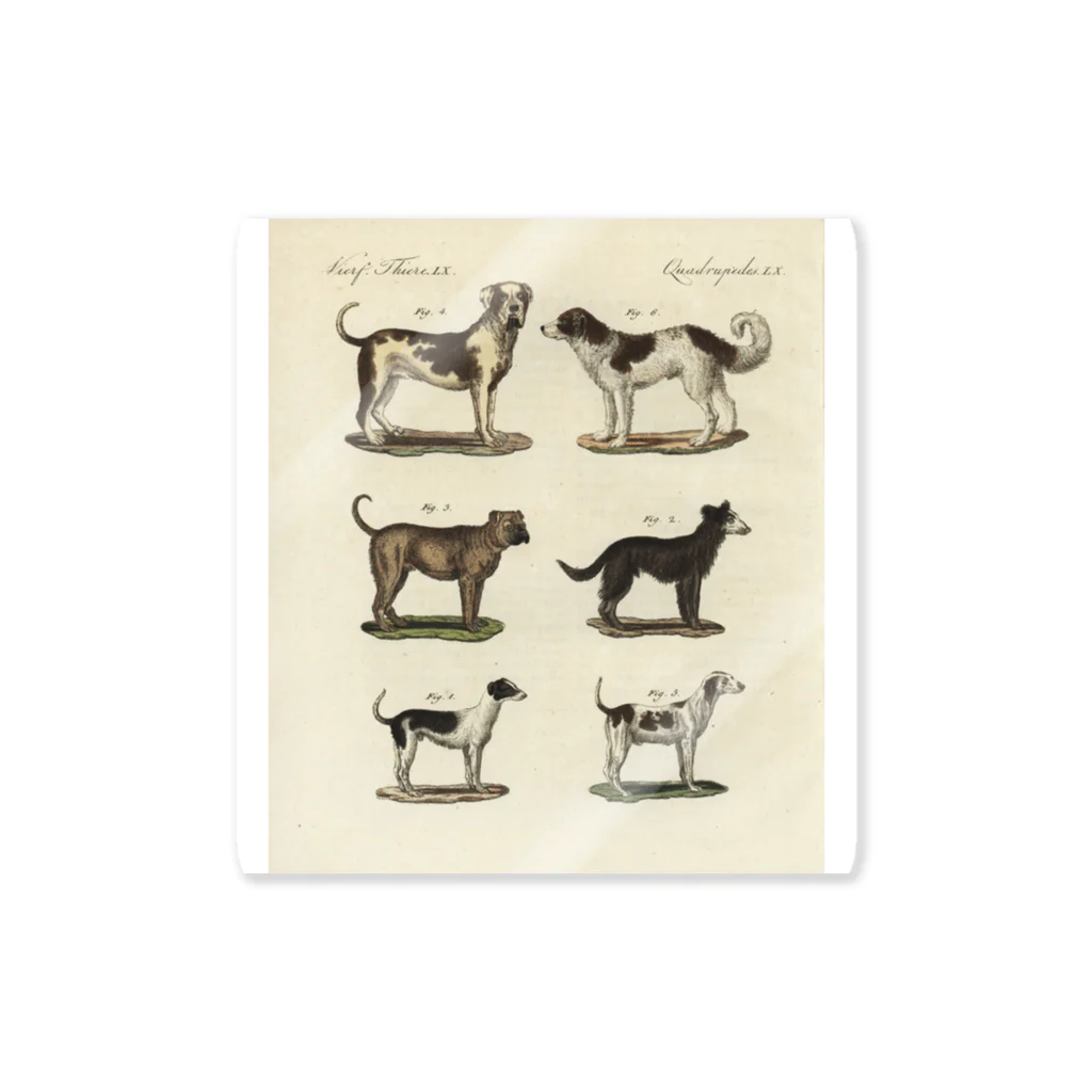 J. Jeffery Print Galleryの1802年ドイツの犬たち Sticker