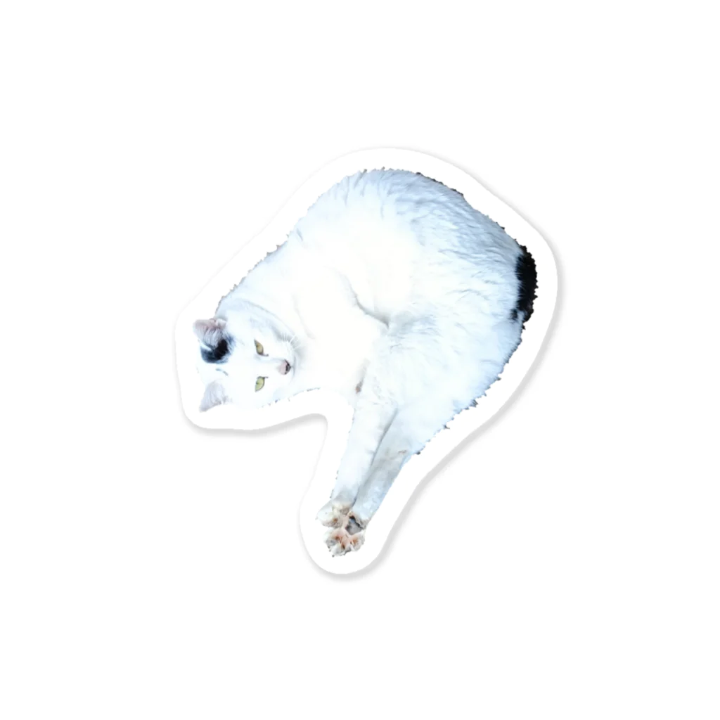 折助の一応、猫。 Sticker