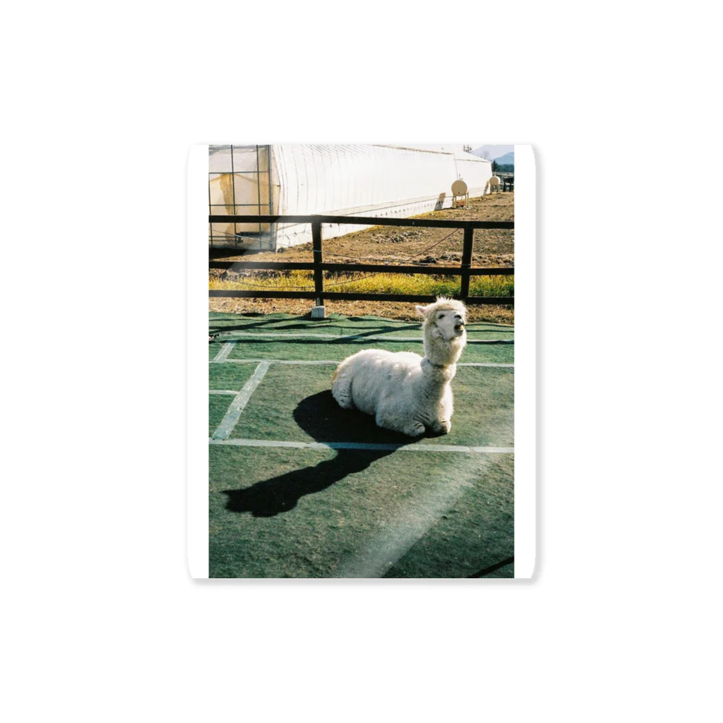 カステラ1番のAlpaca#1 Sticker