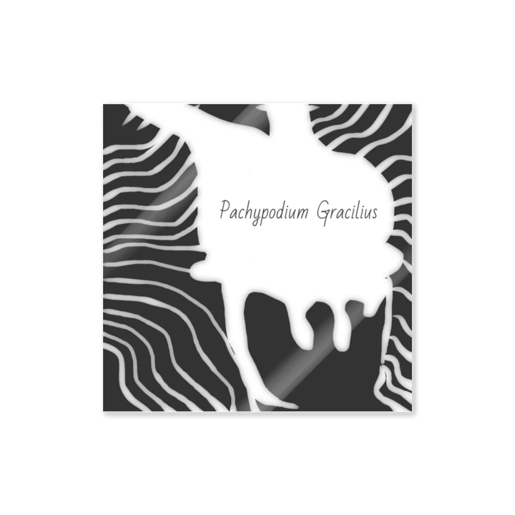 パキポキさんのPachypodium Gracilius  Sticker