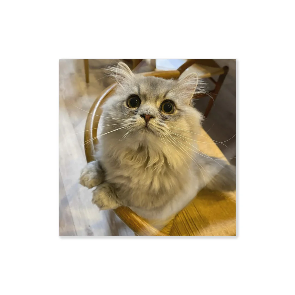 世界一可愛い猫グッズのなぱるくん Sticker