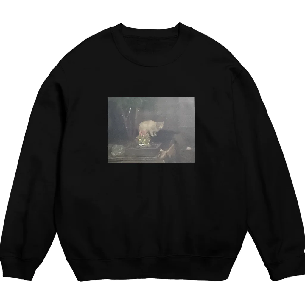 10seedsの祖母んちによく来る野良猫 Crew Neck Sweatshirt