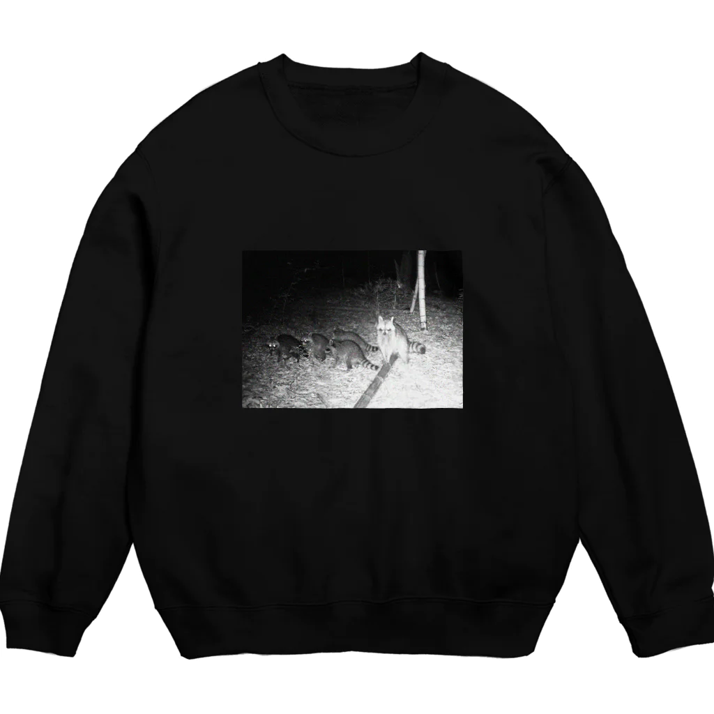 tez_tzkのトレイルカメラに写ったアライグマ Crew Neck Sweatshirt