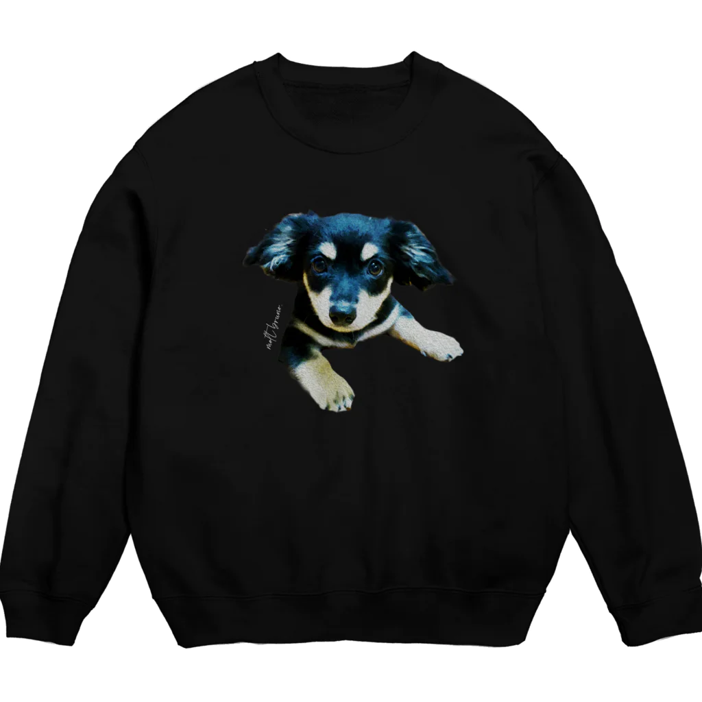 harapaaのmy name is molt Crew Neck Sweatshirt