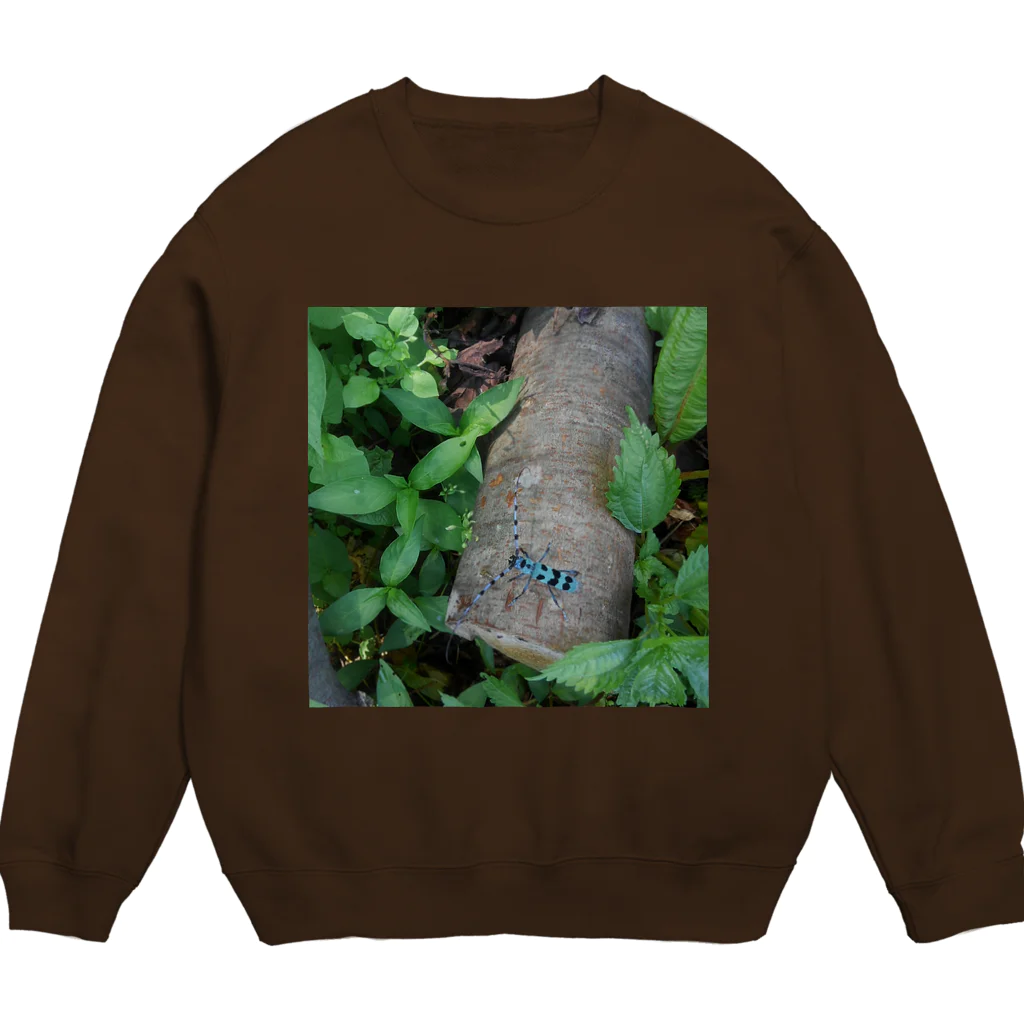 ミクロのルリボシカミキリくん Crew Neck Sweatshirt