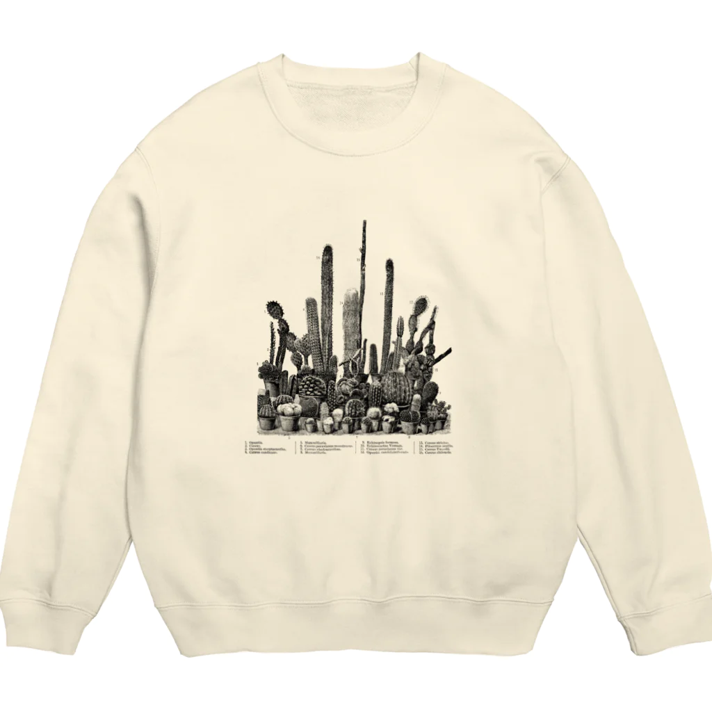 古書　天牛書店のたくさんのサボテン＜アンティーク・イラスト＞ Crew Neck Sweatshirt