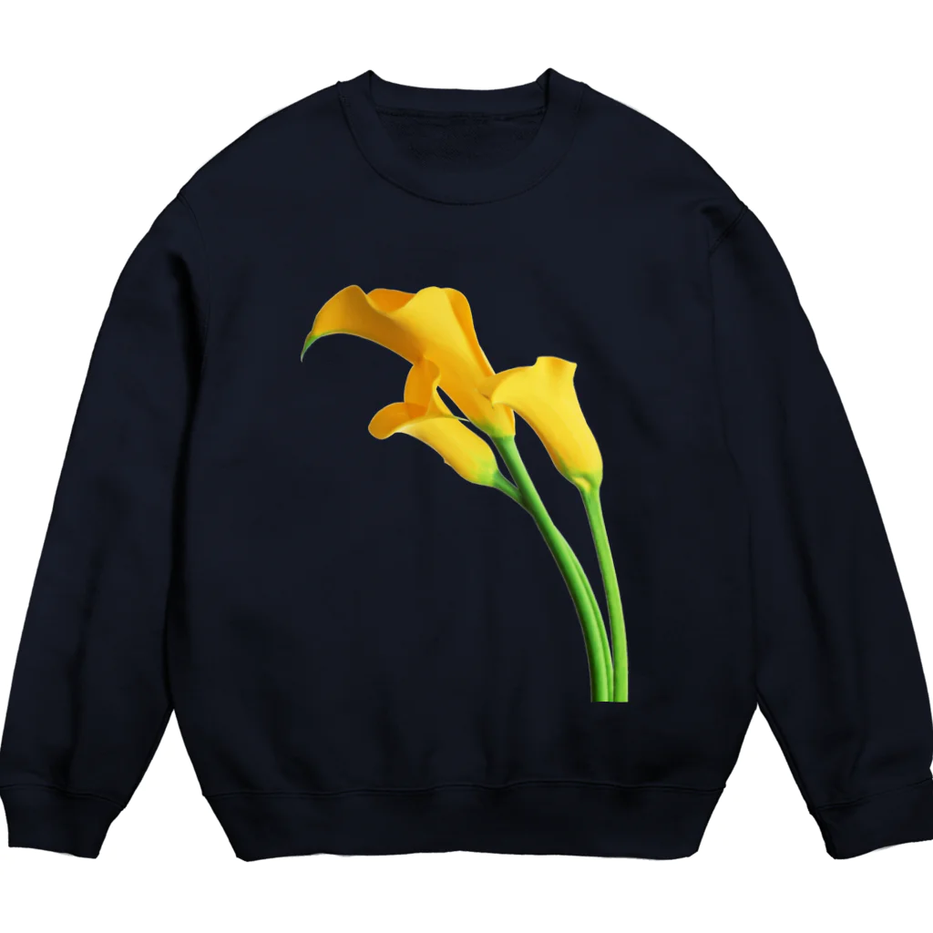 3rd Shunzo's boutique熊猫屋 のYellow color Crew Neck Sweatshirt