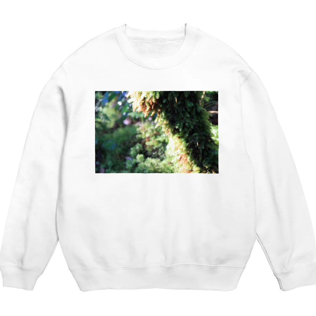 自作自演乙商店街の巫女屋⛩️(屋久島の梅雨) Crew Neck Sweatshirt